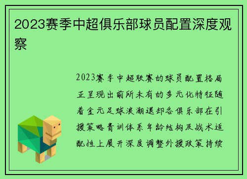 2023赛季中超俱乐部球员配置深度观察